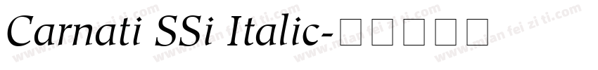Carnati SSi Italic字体转换